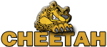 Cheetah Turbo Upgrades